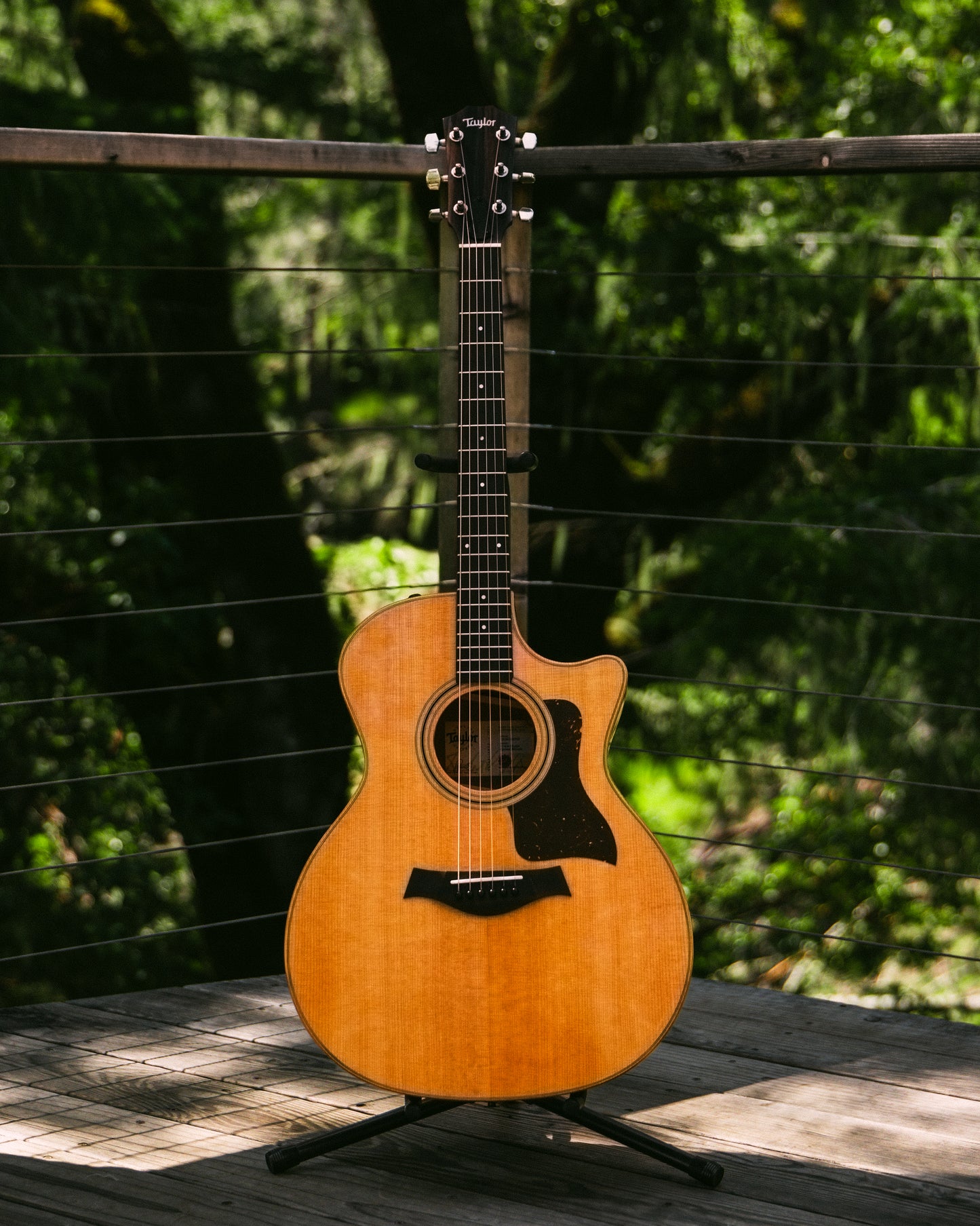 Taylor 314ce Studio