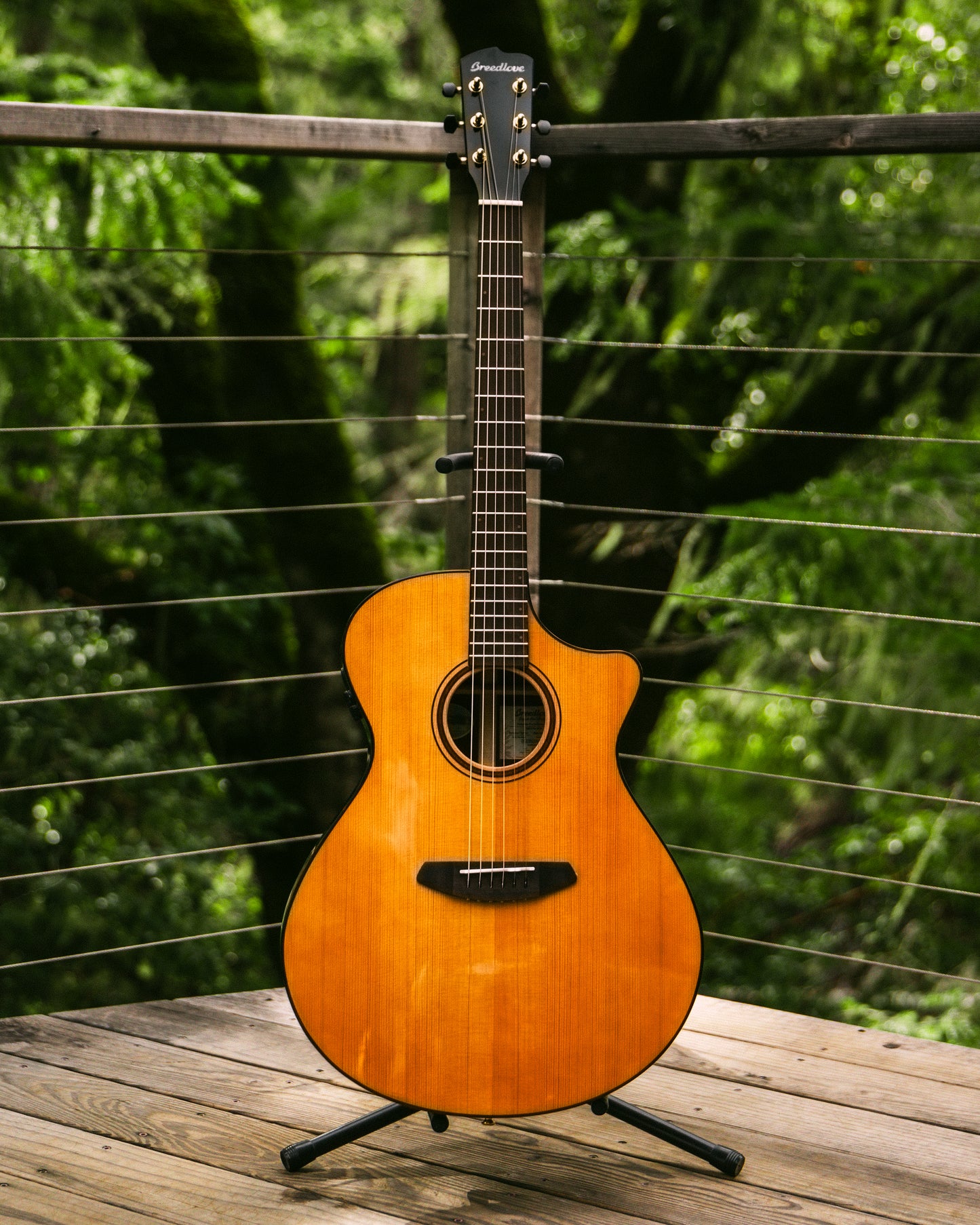 Breedlove Organic Performer Pro Concerto